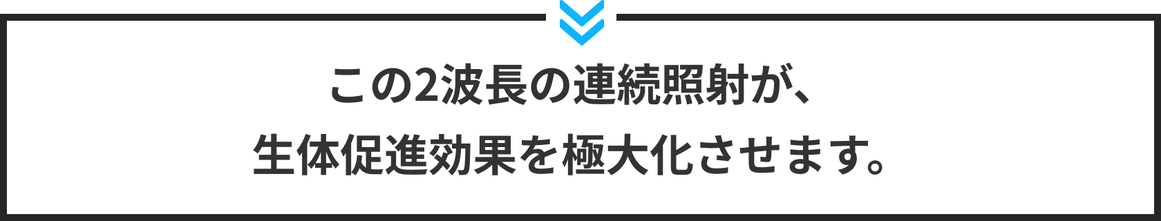 この2波長の連続照射が、生体促進効果を極大化させます。