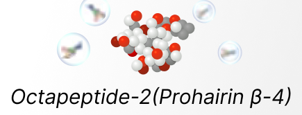 オクタペプチド-2 (Prohairin β4)