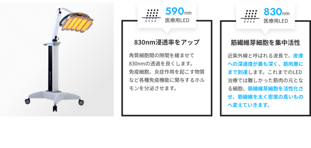 830nm浸透率をアップ、筋繊維芽細胞を集中活性