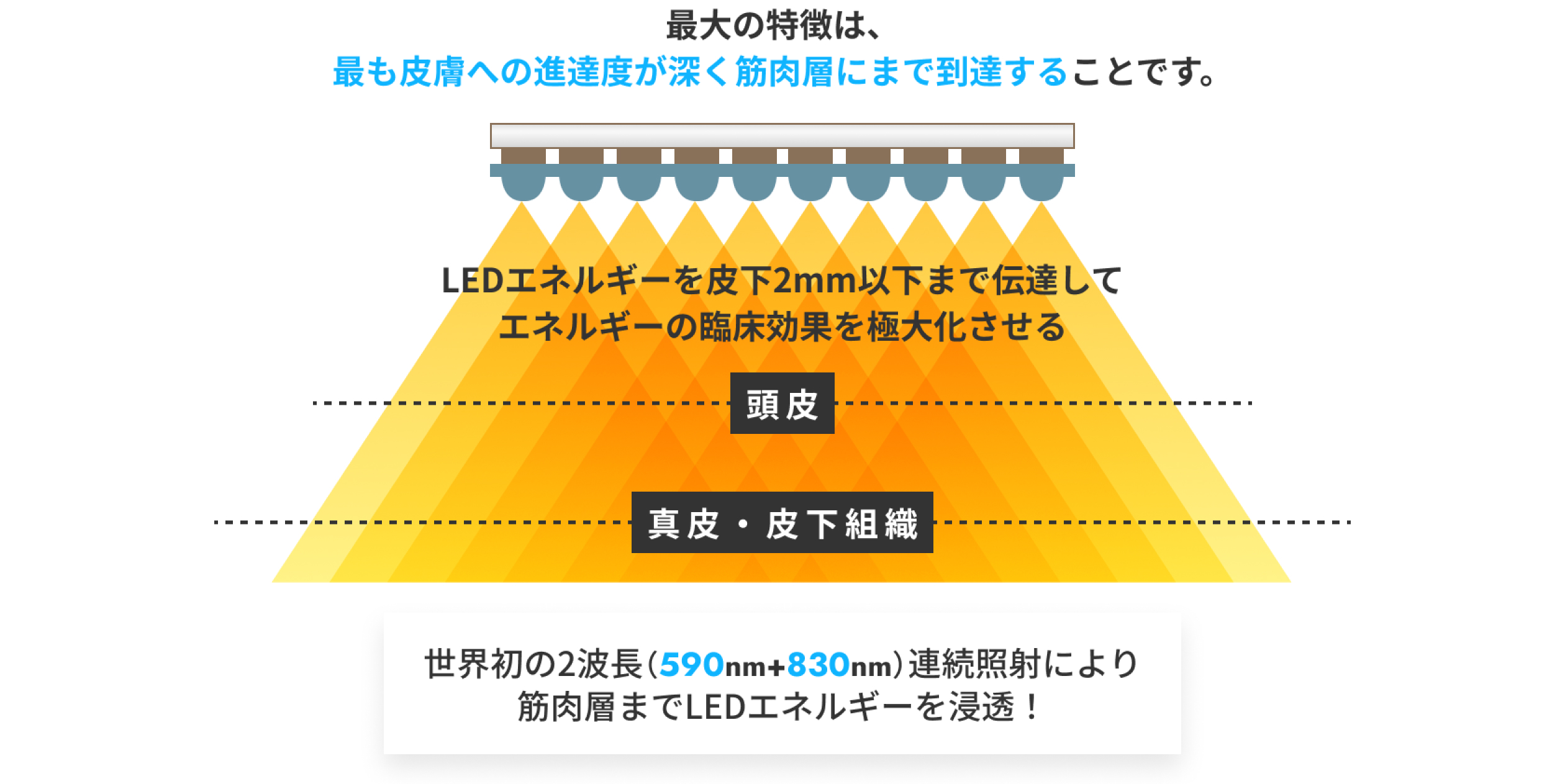 590nmと830nmの世界初の連続照射技術により皮膚深部までエネルギー到達！