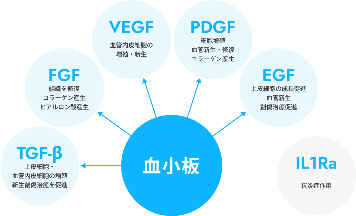 成長因子